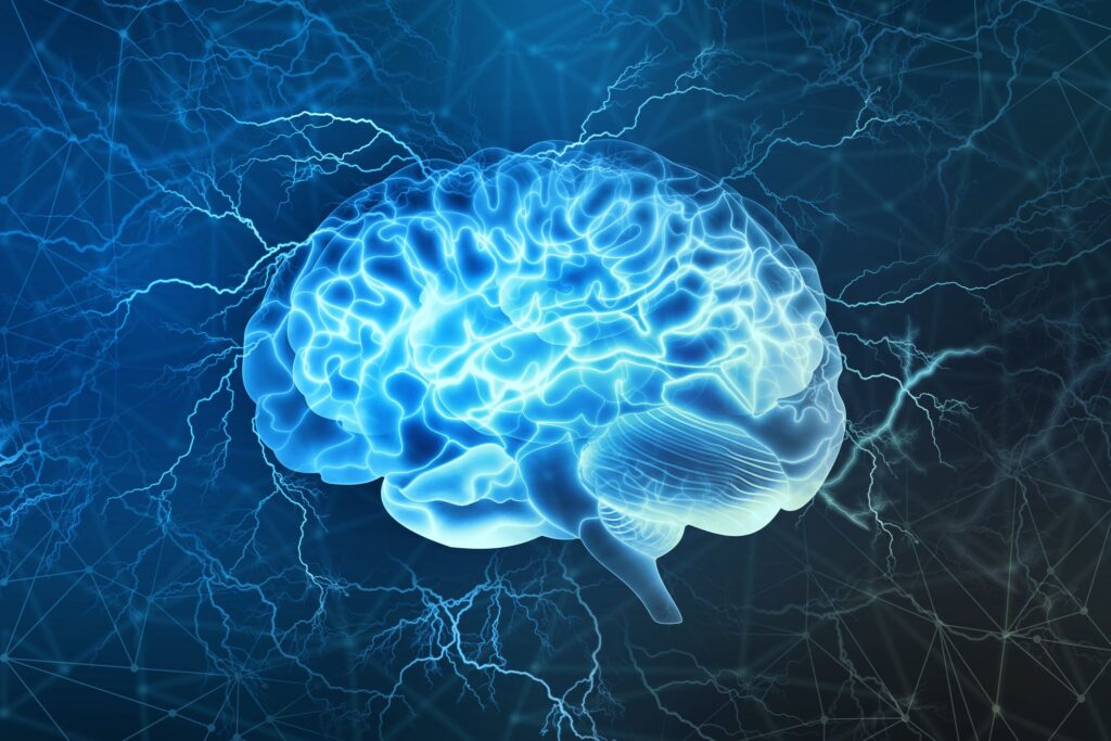 brain food